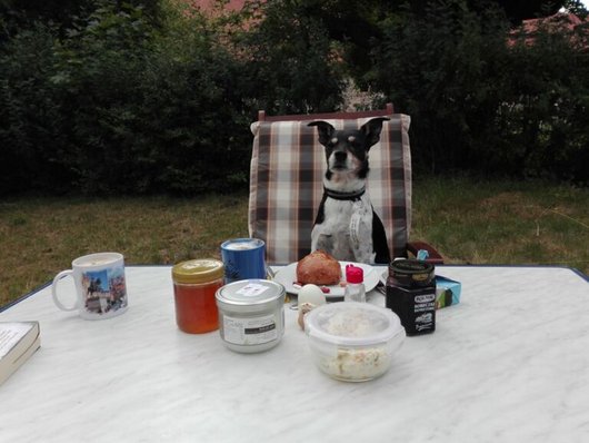 Ernährungs- und Gesundheitsberatung Hund Pferd Katze Fütterungsberatung Hund Uelzen